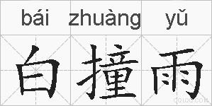 白撞雨的拼音