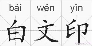 白文印的拼音
