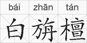 白旃檀的拼音