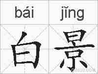 白景的拼音