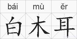 白木耳的拼音