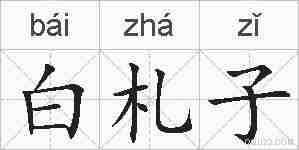 白札子的拼音