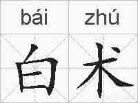 白术的拼音
