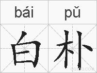 白朴的拼音