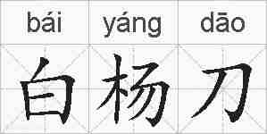 白杨刀的拼音