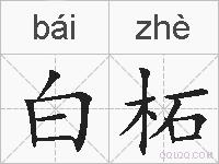 白柘的拼音