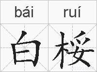 白桵的拼音