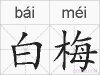 白梅的拼音