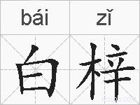 白梓的拼音