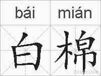 白棉的拼音