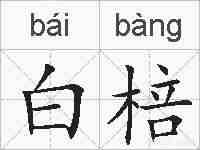 白棓的拼音