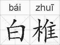白椎的拼音