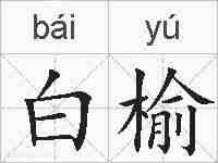 白榆的拼音
