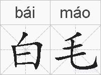 白毛的拼音