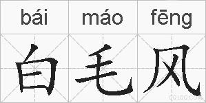 白毛风的拼音