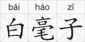 白毫子的拼音