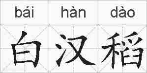 白汉稻的拼音