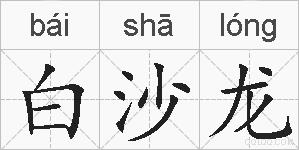 白沙龙的拼音
