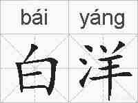 白洋的拼音