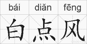 白点风的拼音