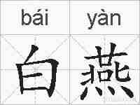 白燕的拼音