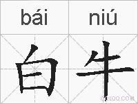 白牛的拼音