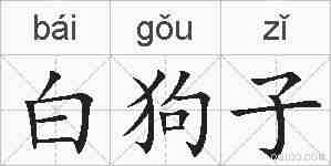 白狗子的拼音