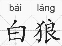 白狼的拼音