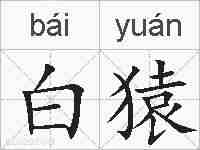 白猿的拼音