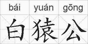 白猿公的拼音
