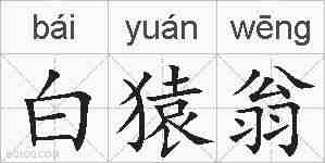 白猿翁的拼音