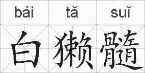 白獭髓的拼音