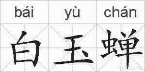 白玉蝉的拼音