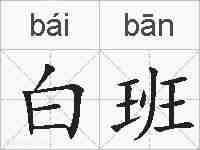 白班的拼音