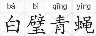 白璧青蝇的拼音