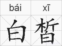 白皙的拼音