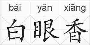 白眼香的拼音