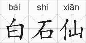 白石仙的拼音