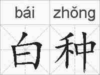 白种的拼音
