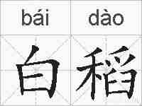 白稻的拼音