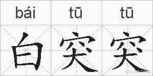 白突突的拼音