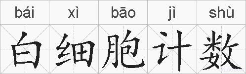 白细胞计数的拼音