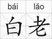 白老的拼音