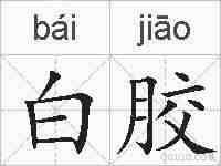 白胶的拼音