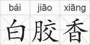 白胶香的拼音