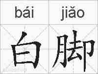 白脚的拼音
