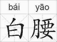 白腰的拼音