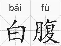白腹的拼音