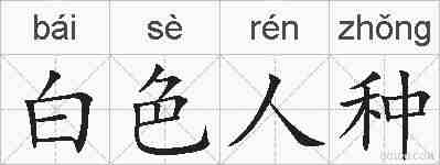 白色人种的拼音