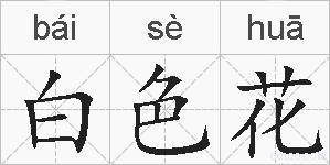 白色花的拼音